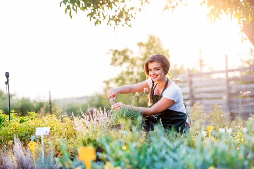 A woman tending to a landscaped garden in a backyard, surrounded by a variety of plants, shrubs, and flower beds with colourful blooms. She is wearing a white t-shirt and dark apron, and appears to be watering or pruning the plants, demonstrating outdoor garden maintenance. The garden features a neatly maintained lawn area with lush, green grass in the foreground, bordered by flower beds and low hedges. In the background, there are trees and a wooden fence, with bright, natural sunlight creating a warm and inviting outdoor environment typical of a well-kept residential garden in Hampstead, London. The scene emphasizes garden care, landscape features, and the natural beauty of outdoor space, aligning with professional gardening and landscaping services provided by Landscapers Hampstead.