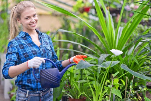 A young woman with long blonde hair smiling while watering plants in a well-maintained garden. She is dressed in a blue checkered shirt and wearing gardening gloves, holding a dark blue watering can. The garden features lush green foliage, including tall grasses and leafy shrubs, with a variety of potted plants arranged on the ground. In the background, there are additional plants and possibly a garden fence, suggesting a landscaped outdoor space typical of residential gardens in Hampstead. The scene appears to be on a clear day with natural sunlight illuminating the vibrant greenery and natural tones of the garden, supporting professional gardening and landscaping services such as lawn care and plant maintenance offered by companies like Landscapers Hampstead.