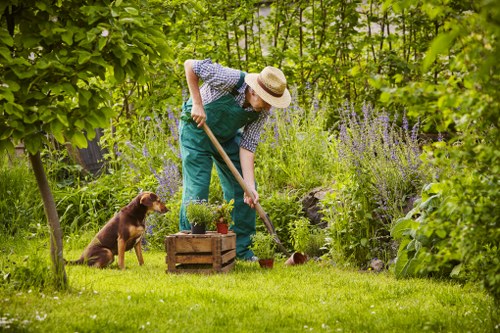 A person wearing a wide-brimmed straw hat, a blue apron, and patterned shirt is shown tending to a garden, kneeling on the grass and using a small hand tool on soil within a wooden crate. A brown dog sits nearby, observing the activity. The garden features lush green foliage, including a variety of blooming lavender plants, shrubs, and trees that create a dense outdoor environment. A neatly maintained lawn with vibrant green grass occupies the foreground, while the background includes dense greenery, flowering plants, and mature trees that provide shade. The scene is captured on a bright day with natural sunlight filtering through the leaves, highlighting the natural tones of the garden. This setting exemplifies typical landscaping and gardening practices, suitable for outdoor spaces in Hampstead, and reflects the expertise of a professional gardening service such as Landscapers Hampstead.
