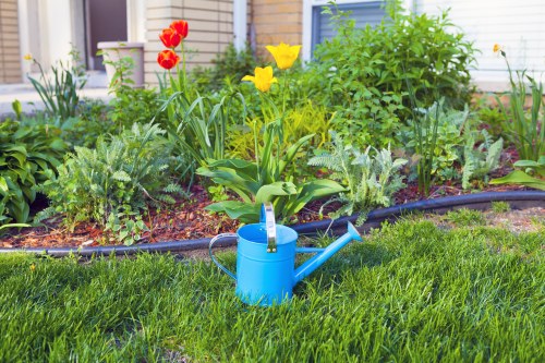 A well-maintained garden scene showing a lush green lawn in the foreground with neatly trimmed grass, alongside a flower bed bordered by dark edging material. The flower bed contains a variety of colorful plants, including bright red and yellow tulips, tall green foliage, and leafy shrubs. In the middle of the lawn, there is a blue watering can resting on the grass, suggesting ongoing garden care. The background features a garden hedge and a portion of a house with light-colored walls and a small window, indicating a residential outdoor space likely situated in Hampstead. The scene is illuminated by natural daylight, with slightly overcast sky providing soft, even lighting. This image demonstrates typical elements requiring lawn and garden maintenance, aligning with services offered by professionals such as Landscapers Hampstead for garden landscaping, pruning, and general outdoor upkeep.