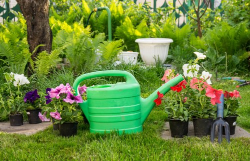 A garden scene featuring a neatly maintained grassy lawn with a row of potted flowering plants, including purple and pink blooms, positioned along the edge of a vegetable patch. Behind the plants, there is lush green foliage with various shrubs and trees, creating a dense natural backdrop. A small white decorative planter is placed among the plants, and a green plastic watering can sits centrally on the grass, surrounded by garden tools including a hand rake. The outdoor space appears to be part of a residential garden designed for gardening activities, with natural sunlight illuminating the scene and highlighting the vibrant colors of the flowers and greenery, indicative of a well-kept outdoor area suitable for gardening services in Hampstead or nearby areas.
