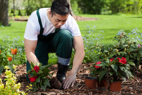 In a well-maintained garden, a man is kneeling on a layer of mulch, planting or tending to small flowering plants in terracotta pots. Behind him, there is a lush, neatly trimmed lawn with vibrant green grass, bordered by a variety of flowering shrubs and bushes, including red and orange blooms. The background features tall trees and a wooden fence, suggesting a private outdoor space. The scene is illuminated by natural daylight, indicating a clear, sunny day, which enhances the natural colours of the garden elements. The garden layout includes a mix of ornamental plants, flower beds, and paved or mulched planting areas, characteristic of professional landscaping. The man's attire and careful handling of plants reflect attention to garden care and outdoor maintenance, aligned with services provided by specialists like Landscapers Hampstead. This setting exemplifies a tidy, environmentally friendly outdoor area suitable for relaxation and outdoor activities, highlighting aspects of garden upkeep, planting, and landscape enhancement relevant to local clients in Hampstead and NW postcode areas.