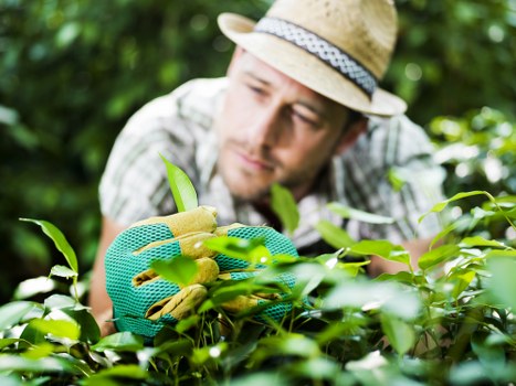 Supplier audit documentation for landscaping compliance