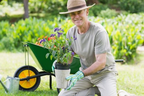 A mature man dressed in a light grey T-shirt, beige trousers, and a wide-brimmed straw hat is kneeling on a well-maintained lawn in a garden near Hampstead. He is wearing gardening gloves and smiling while holding a small potted plant with vibrant purple and red flowers. Behind him, a green wheelbarrow with bright yellow wheel accents is positioned on the grass, containing soil or garden waste. The garden features a neatly trimmed grass lawn in the foreground, bordered by a variety of lush green plants and bushes. In the background, there are tall trees with dense foliage, providing shade and a natural backdrop. The weather appears bright and clear, suggesting a sunny day ideal for gardening activities. The scene reflects a typical outdoor space maintained for leisure or horticultural purposes, illustrating aspects of landscaping and garden care services available in Hampstead, with natural textures and vibrant greenery.