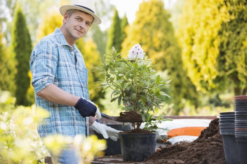 In this outdoor garden scene, a man wearing a light blue checkered shirt, a straw hat, and gardening gloves is planting a flowering shrub in a black pot within a landscaped yard. The garden features a well-maintained grassy lawn in the foreground, bordered by a variety of small plants and shrubs. Behind him, there is a backdrop of tall, green trees with bright yellow foliage, indicating a warm season and natural sunlight illuminating the entire area. The soil where the plant is being placed appears rich and moist, with gardening tools and empty pots arranged nearby on a work surface. The overall environment suggests a neat and thoughtfully landscaped outdoor space, typical of residential gardens in Hampstead, with a focus on planting and outdoor maintenance, aligning with professional gardening services provided by companies like Landscapers Hampstead.