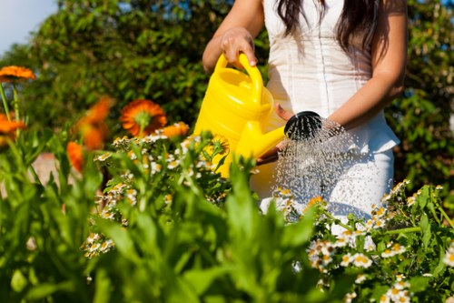 A woman, dressed in a white outfit, is watering a lush garden bed with a yellow watering can, standing amidst vibrant flowering plants and greenery in a well-maintained outdoor space. The garden features a mix of flowering plants with orange, white, and yellow blossoms, complemented by a dense hedge or shrubbery in the background. The soil in the flower beds appears dark and moist, indicating regular care, while the surrounding grass is green and neatly trimmed. Sunlight illuminates the scene, suggesting a clear day, with natural light enhancing the vivid colours of the flowers and foliage. This outdoor garden space showcases a thoughtfully cultivated environment that could benefit from professional gardening and landscaping services offered by Landscapers Hampstead, ideal for residential backyards or front gardens within the Hampstead area of London, inferred from the postcode and context of the webpage. The scene exemplifies a thriving, well-maintained garden ready for further landscaping work or routine lawn and plant care.