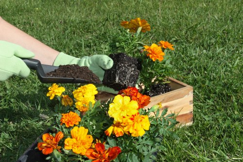 A person wearing light green gardening gloves is using a small trowel to plant a flowering plant into a wooden planter box on a grassy lawn. The planter contains vibrant yellow and orange flowers with lush green leaves, and the soil being added appears rich and dark. In the background, there is a well-maintained lawn with evenly cut grass, and a small yellow flower is visible behind the planter. The outdoor setting is natural and sunny, suggesting a typical garden scene where professional gardening or planting services from Landscapers Hampstead could be involved in enhancing outdoor spaces in Hampstead or nearby areas.