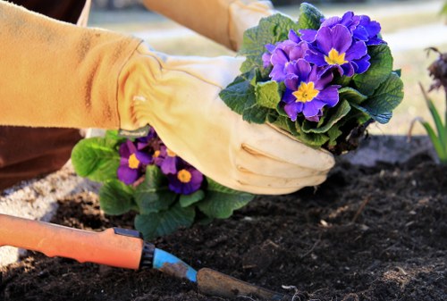 Sustainable landscaping practices in a Hampstead garden